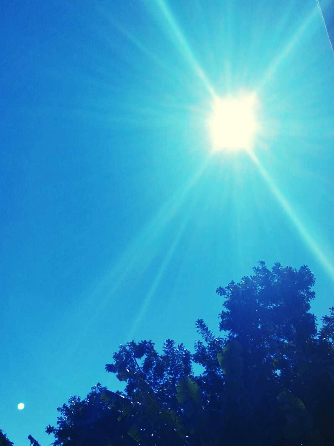 Janesantos
